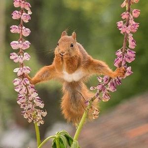 Meet your Posher, Anne